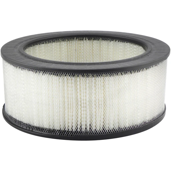 Engine Air Filter - Baldwin PA602