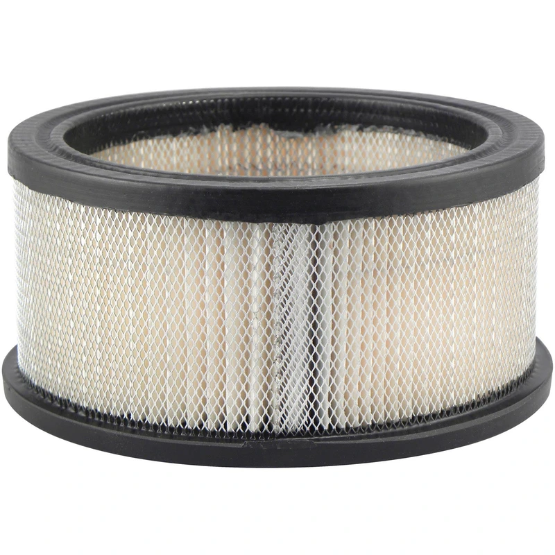 Engine Air Filter - Baldwin PA634