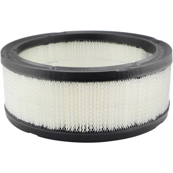 Engine Air Filter - Baldwin PA650