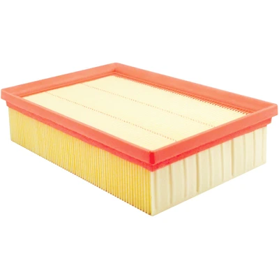 Engine Air Filter - Baldwin PA10391