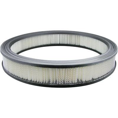 Engine Air Filter - Baldwin PA1828