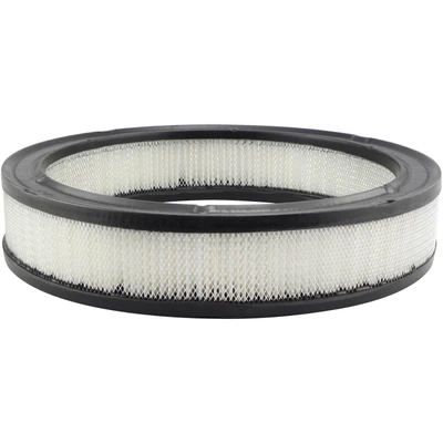 Engine Air Filter - Baldwin PA2005