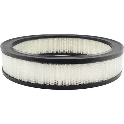 Engine Air Filter - Baldwin PA2006