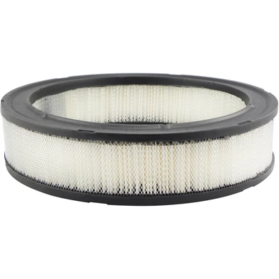 Engine Air Filter - Baldwin PA2007