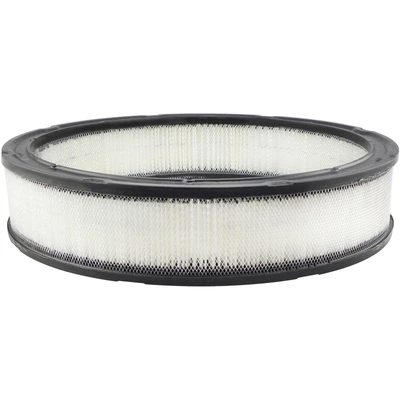 Engine Air Filter - Baldwin PA2010
