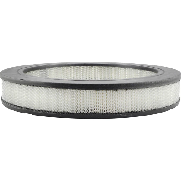 Engine Air Filter - Baldwin PA2065