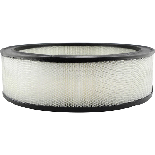 Engine Air Filter - Baldwin PA2079