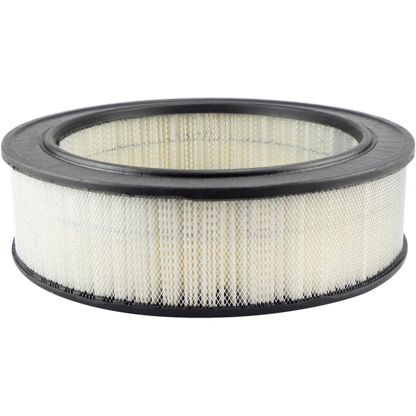 Engine Air Filter - Baldwin PA2081