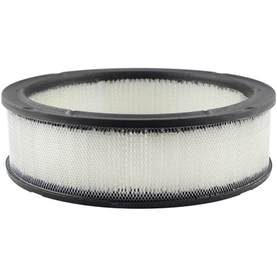 Engine Air Filter - Baldwin PA2106