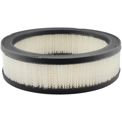 Engine Air Filter - Baldwin PA2109