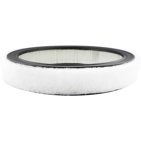 Engine Air Filter - Baldwin PA2110