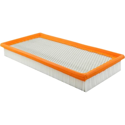 Engine Air Filter - Baldwin PA2200