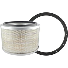 Engine Air Filter - Baldwin PA2438