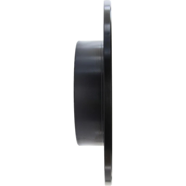 Centric 125.34167 Brake Rotor Rear