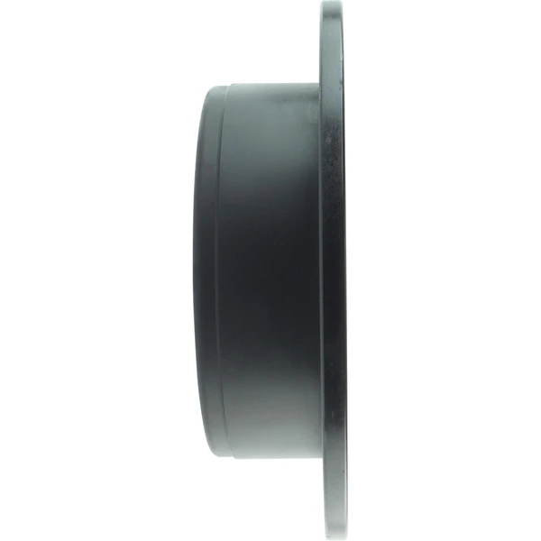 Centric 126.49002SR Brake Rotor Rear Right