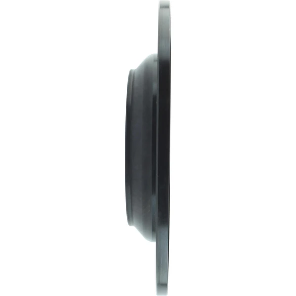 Centric 126.61123SL Brake Rotor Rear Left