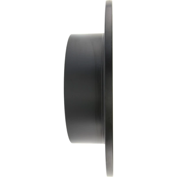 Centric 127.44188L Brake Rotor Rear Left