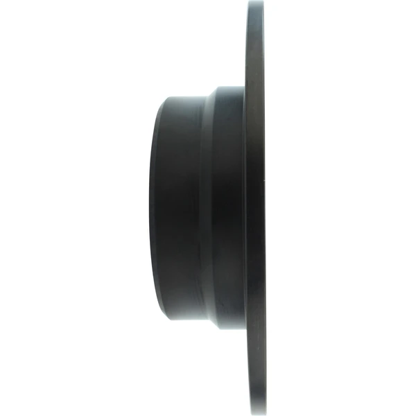 Centric 128.34051L Brake Rotor Rear Left