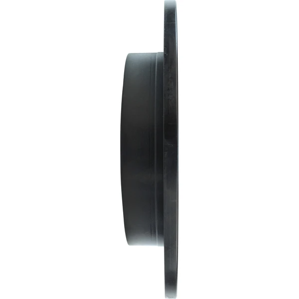 Centric 128.34066R Brake Rotor Rear Right