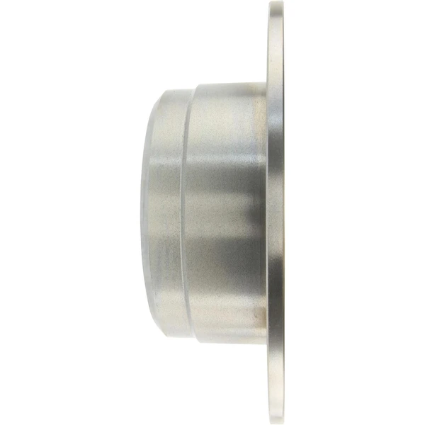 Centric 121.39001 Brake Rotor Rear