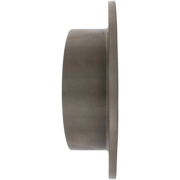 Centric 121.44131 Brake Rotor Rear