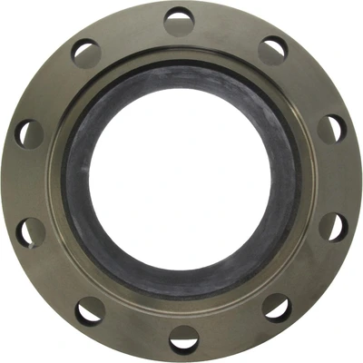 Disc Brake Rotor - Rear Side - Centric 121.84003