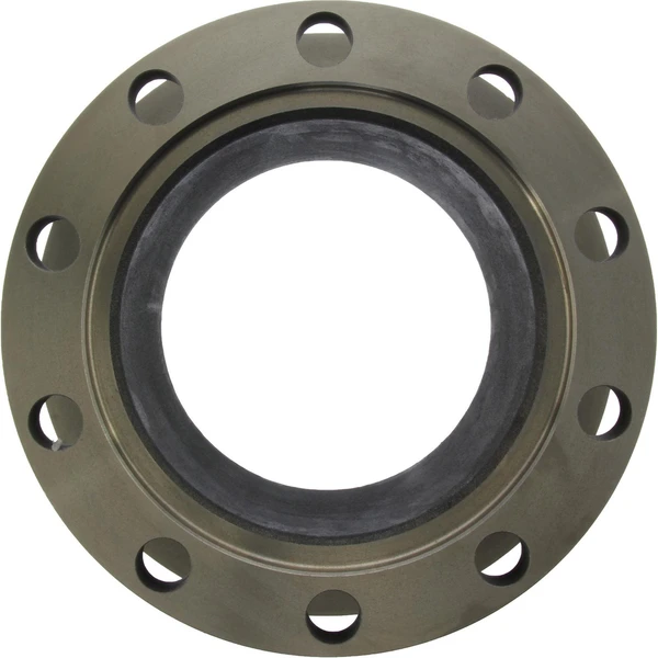 Centric 121.84003 Brake Rotor Rear Side