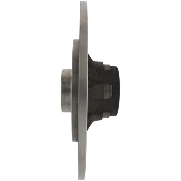 Centric 121.99018 Brake Rotor Rear