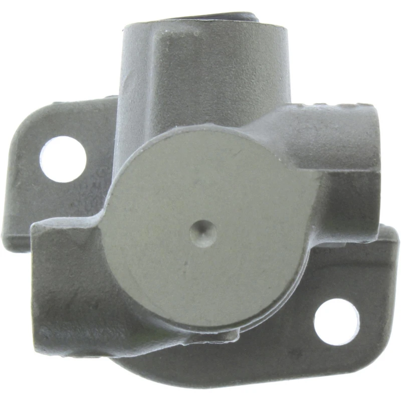 Brake Master Cylinder - Centric 130.99021