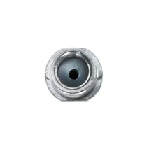 Brake Hydraulic Hose - Front Side - Centric 150.33035