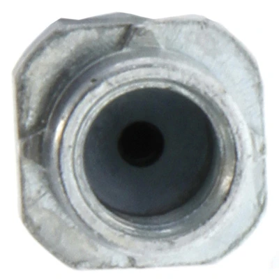 Brake Hydraulic Hose - Front Side - Centric 150.34013