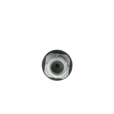 Brake Hydraulic Hose - Front Side - Centric 150.34016
