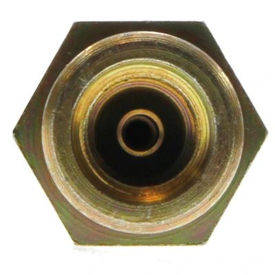Brake Hydraulic Hose - Rear Side - Centric 150.42319
