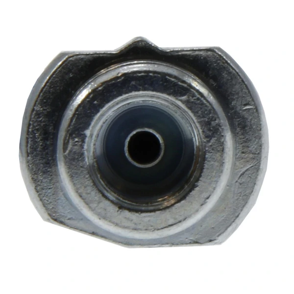 Brake Hydraulic Hose - Rear Side - Centric 150.42343