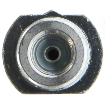 Brake Hydraulic Hose - Rear Left Driver Side - Centric 150.42358