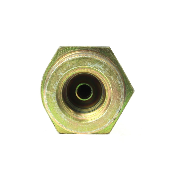 Brake Hydraulic Hose - Front Side - Centric 150.43002