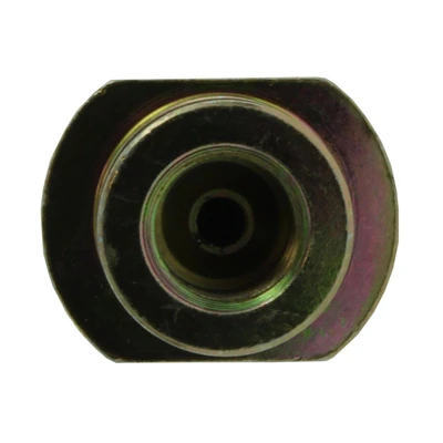 Brake Hydraulic Hose - Front Side - Centric 150.43016