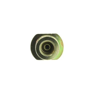 Brake Hydraulic Hose - Rear Lower - Centric 150.43321