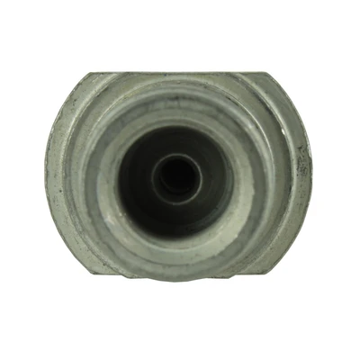 Brake Hydraulic Hose - Rear Left Driver Side - Centric 150.44456