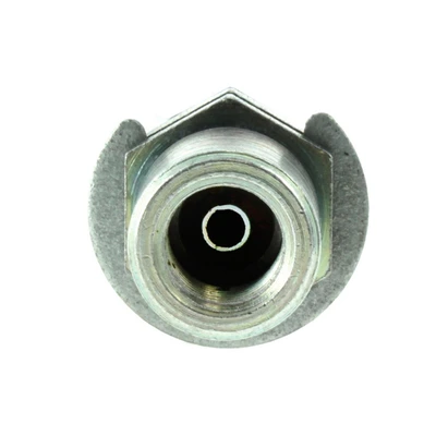 Brake Hydraulic Hose - Centric 150.44105