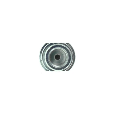 Brake Hydraulic Hose - Centric 150.44133