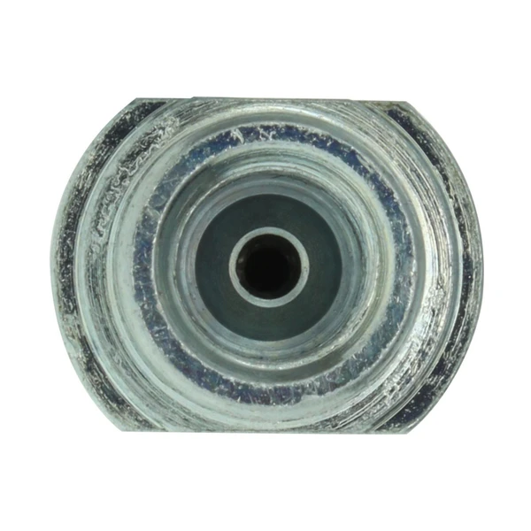 Brake Hydraulic Hose - Rear Right Passenger Side - Centric 150.44353