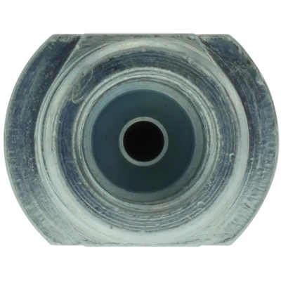 Brake Hydraulic Hose - Centric 150.44397