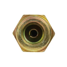 Brake Hydraulic Hose - Front Side - Centric 150.45004