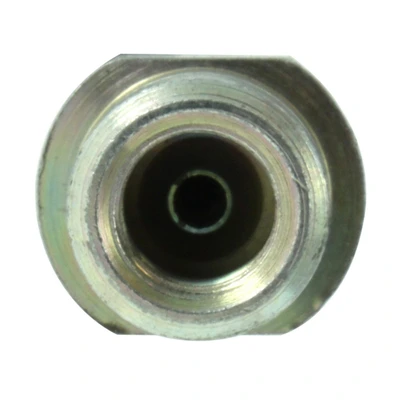 Brake Hydraulic Hose - Front Side - Centric 150.45005