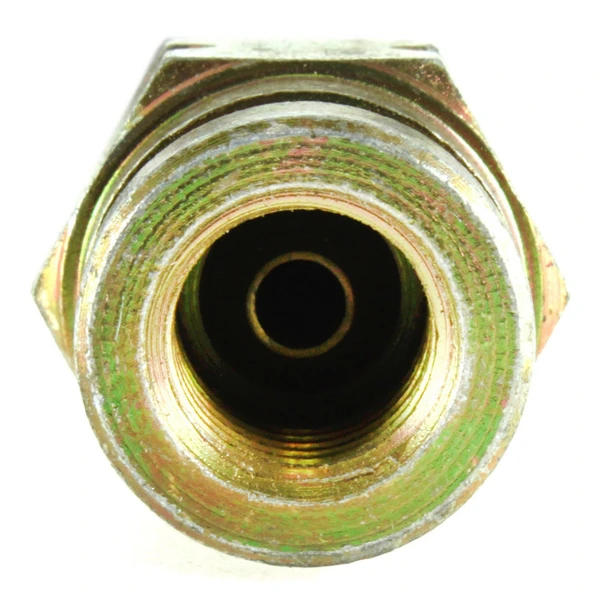 Brake Hydraulic Hose - Rear Side - Centric 150.45309