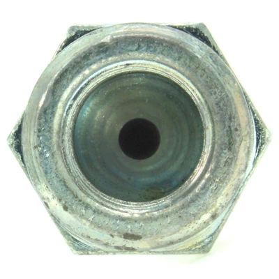 Brake Hydraulic Hose - Rear Lower - Centric 150.46313