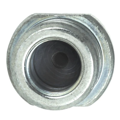 Brake Hydraulic Hose - Rear Side - Centric 150.46314