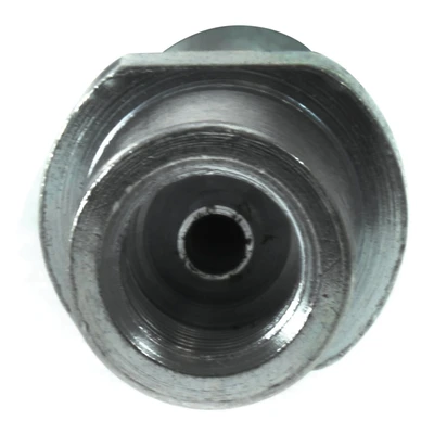 Brake Hydraulic Hose - Rear Left Driver Side - Centric 150.47302