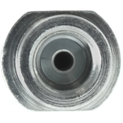 Brake Hydraulic Hose - Rear Upper - Centric 150.47308